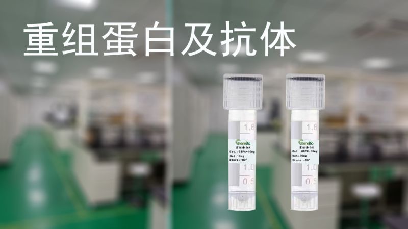 鵰׼