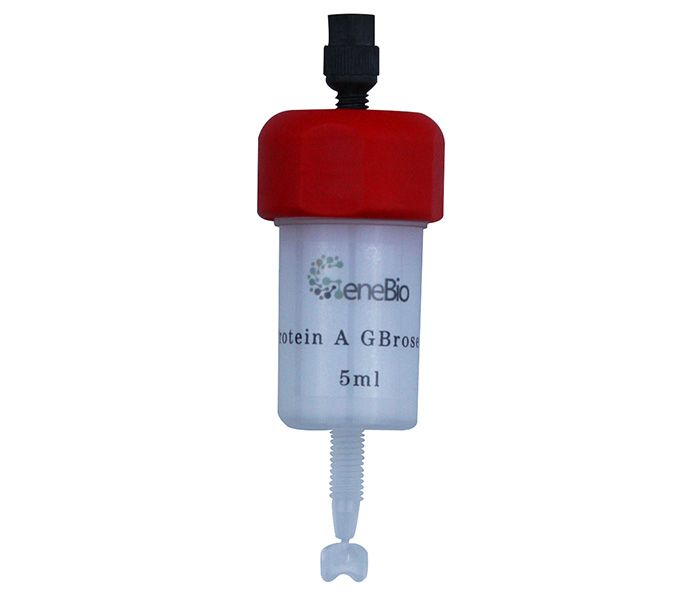 Protein AѹԤװ5ml