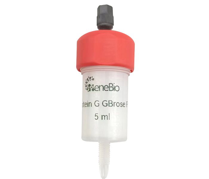 Protein GѹԤװ5ml